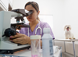 Gabrica | Investigación