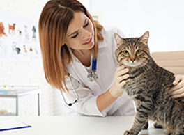 Gabrica | Endocrinología